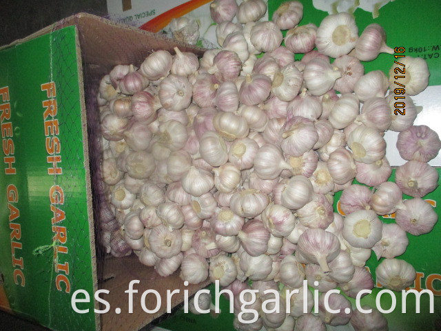 How Do You Store Garlic